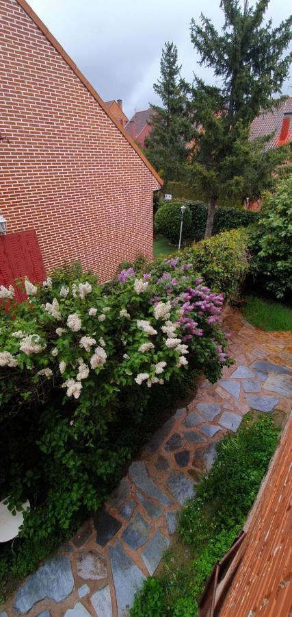 Casa Cercedilla Montana Esqui Βίλα Εξωτερικό φωτογραφία
